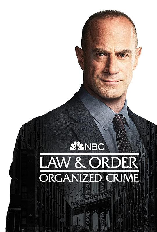 法律与秩序：组织犯罪 第三季 第21集