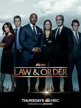 法律与秩序 第二十二季 第17集